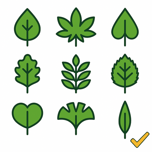 Plants Database (functional)